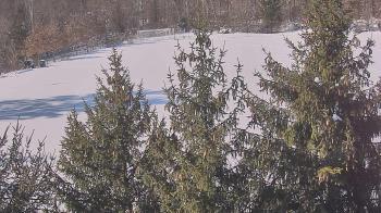 Weather camera view of Stuart Country Day School.