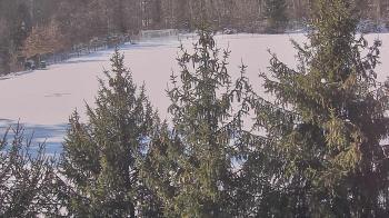 Weather camera view of Stuart Country Day School.