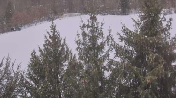 Weather camera view of Stuart Country Day School.