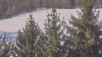 Weather camera view of Stuart Country Day School.