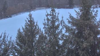 Weather camera view of Stuart Country Day School.