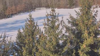 Weather camera view of Stuart Country Day School.