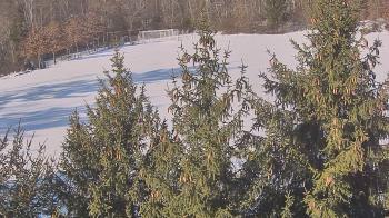 Weather camera view of Stuart Country Day School.