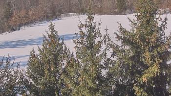 Weather camera view of Stuart Country Day School.