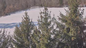 Weather camera view of Stuart Country Day School.