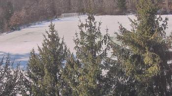 Weather camera view of Stuart Country Day School.