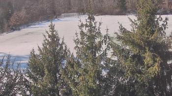 Weather camera view of Stuart Country Day School.