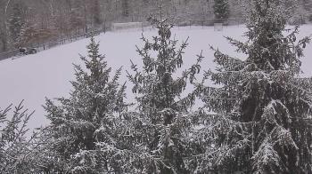 Weather camera view of Stuart Country Day School.