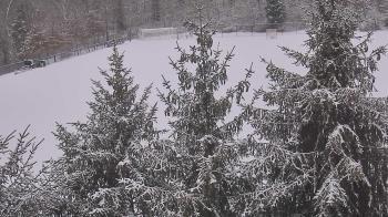 Weather camera view of Stuart Country Day School.