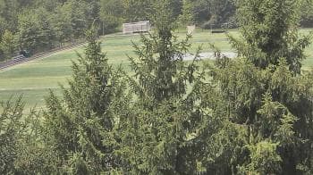 Weather camera view of Stuart Country Day School.