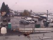 Weather camera view of Rodgers Marine LLC.