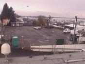 Weather camera view of Rodgers Marine LLC.