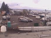 Weather camera view of Rodgers Marine LLC.