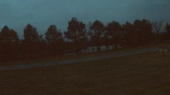 Weather camera view of Lincoln ES.