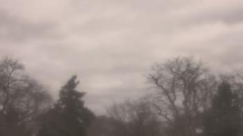 Weather camera view of Saint Peter School.