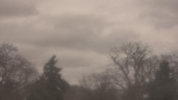 Weather camera view of Saint Peter School.