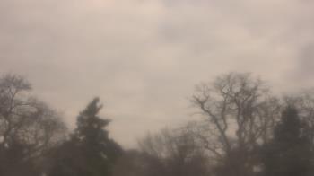 Weather camera view of Saint Peter School.