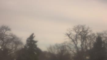 Weather camera view of Saint Peter School.