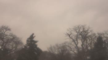 Weather camera view of Saint Peter School.