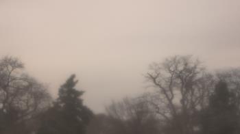 Weather camera view of Saint Peter School.