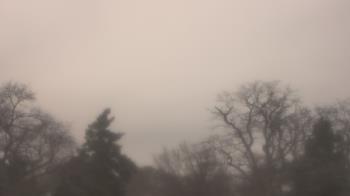 Weather camera view of Saint Peter School.