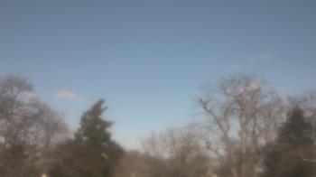 Weather camera view of Saint Peter School.