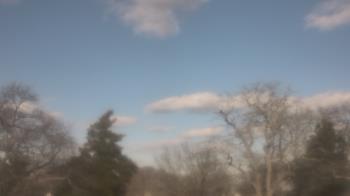 Weather camera view of Saint Peter School.