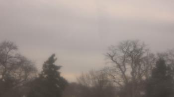 Weather camera view of Saint Peter School.