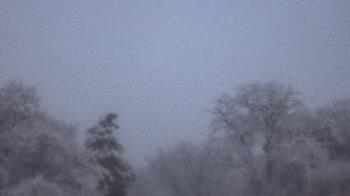 Weather camera view of Saint Peter School.