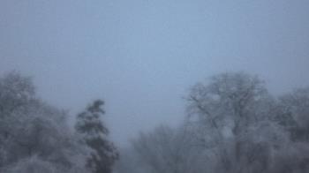 Weather camera view of Saint Peter School.