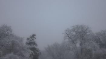 Weather camera view of Saint Peter School.