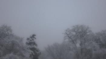 Weather camera view of Saint Peter School.