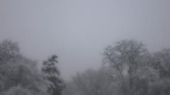 Weather camera view of Saint Peter School.