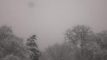 Weather camera view of Saint Peter School.