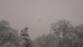 Weather camera view of Saint Peter School.