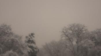 Weather camera view of Saint Peter School.