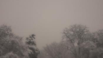 Weather camera view of Saint Peter School.