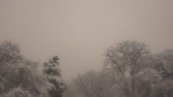 Weather camera view of Saint Peter School.