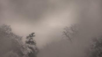 Weather camera view of Saint Peter School.