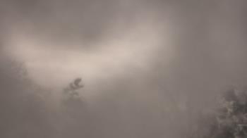 Weather camera view of Saint Peter School.