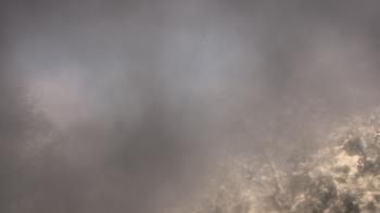 Weather camera view of Saint Peter School.