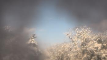 Weather camera view of Saint Peter School.