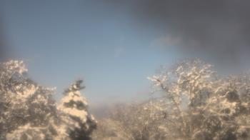 Weather camera view of Saint Peter School.