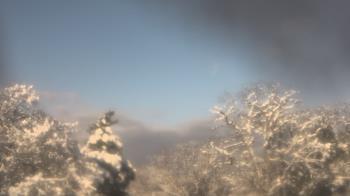 Weather camera view of Saint Peter School.