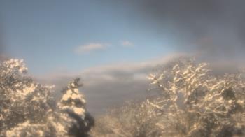 Weather camera view of Saint Peter School.