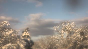 Weather camera view of Saint Peter School.