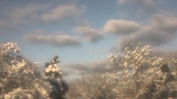 Weather camera view of Saint Peter School.