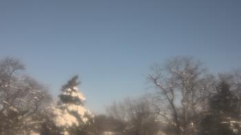 Weather camera view of Saint Peter School.