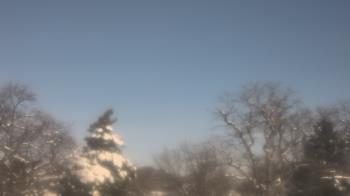 Weather camera view of Saint Peter School.