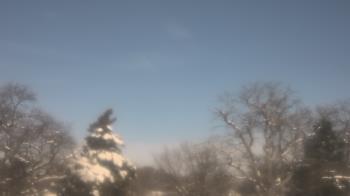 Weather camera view of Saint Peter School.